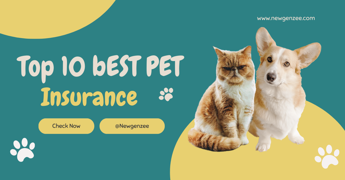 Top 10 Best Pet Insurance Companies